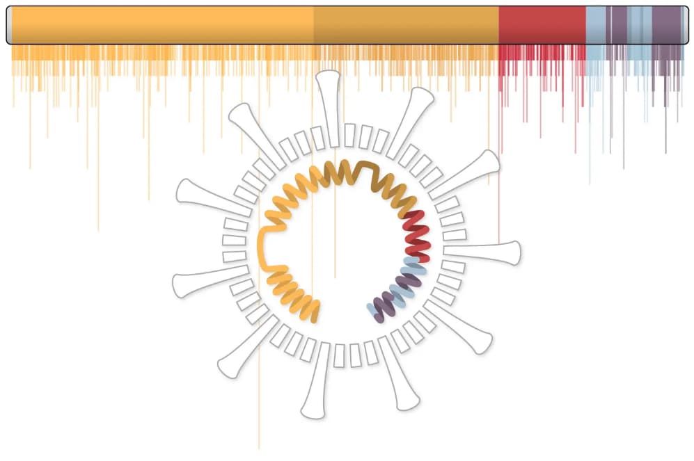 An incomprensible Covid-19 graph, courtesy, I think, of the New York Times. It has the spiky covid-thing in the middle, and about 1000 tiny bar-graph-bars flowing down from the top in different colors and heights. There are no axis labels.