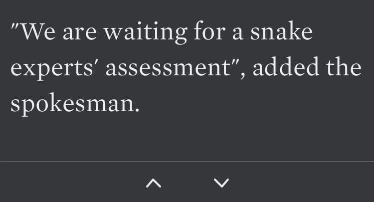 Screenshot from a news article. It reads, 'We are waiting for a snake experts assessment, added the spokesman.